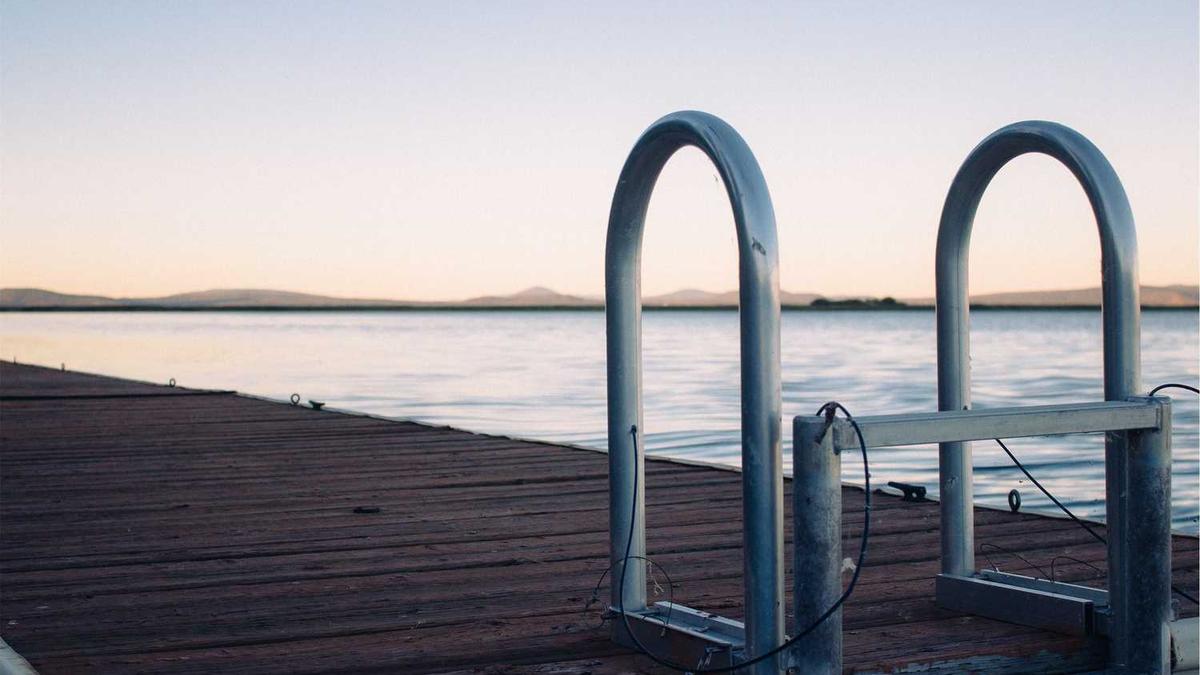 校园1V1甜文推荐