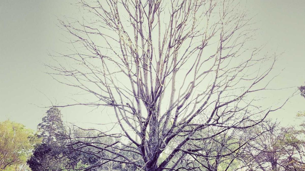 与你app云盘怎么打开