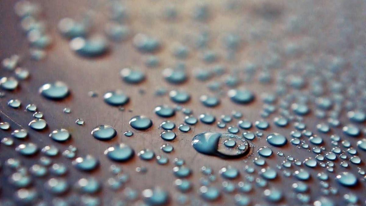 中秋节月亮在哪个位置