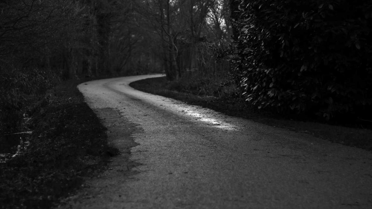 2025第14周:傲无常、南风抚月、奈何笑忘川等25位作者作品完结