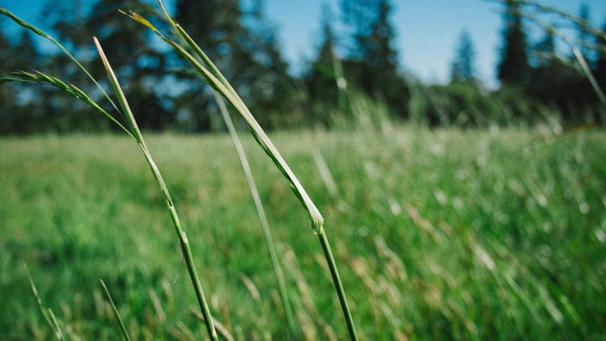 工作单位和职务怎么填