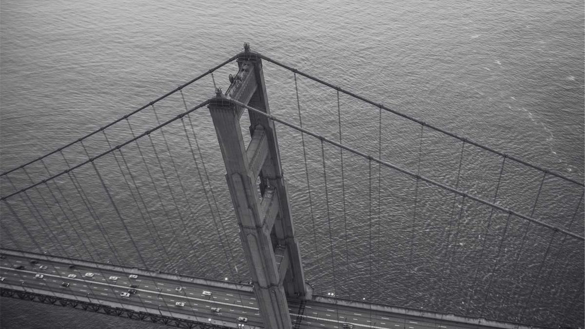 深圳大学42周年:从特区新秀到学术名片,深大如何续写“深大速