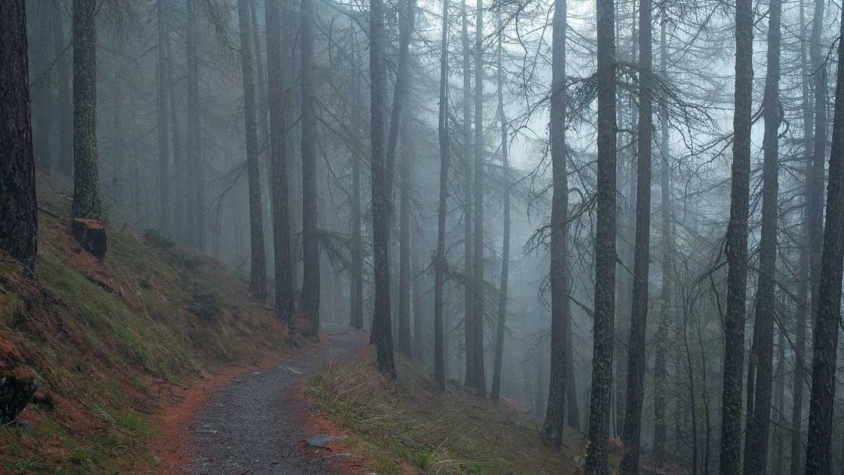 云南丽江海拔多少米高有高原反应吗