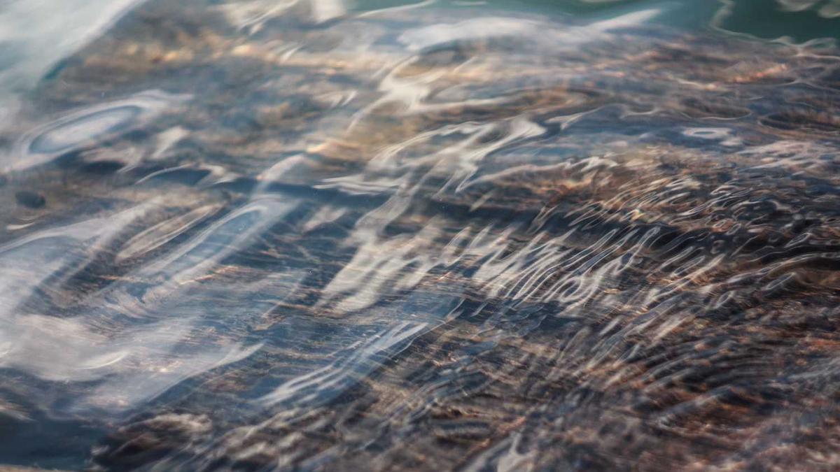 泰州特产有哪些可以带走的东西 泰州特产有哪些可以带走的美食_百度知 ...