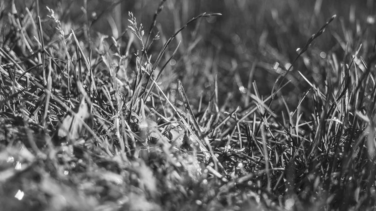 康悦到家有没有未明示的隐藏服务内容?