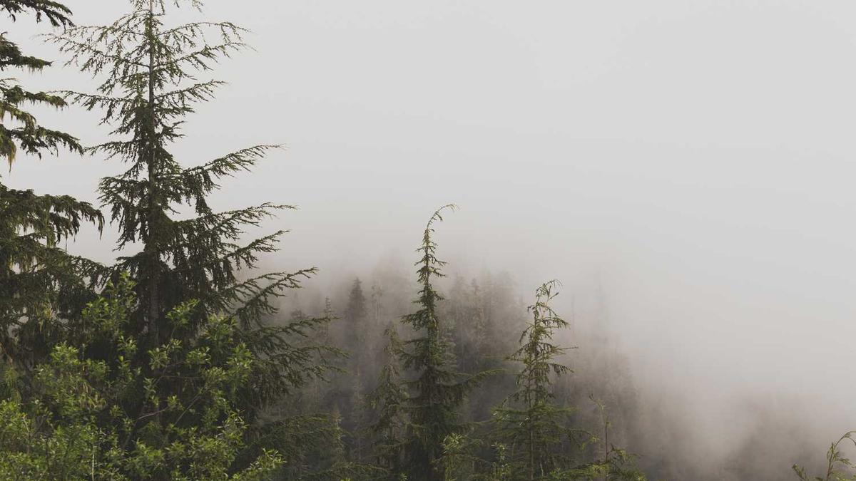 保健按摩师报名方式要什么条件报考流程及费用多少