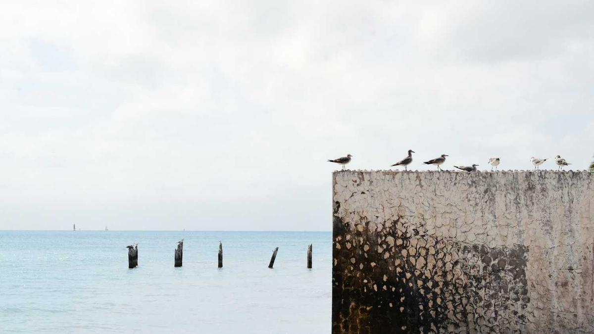 中央监委16件实事清单内容