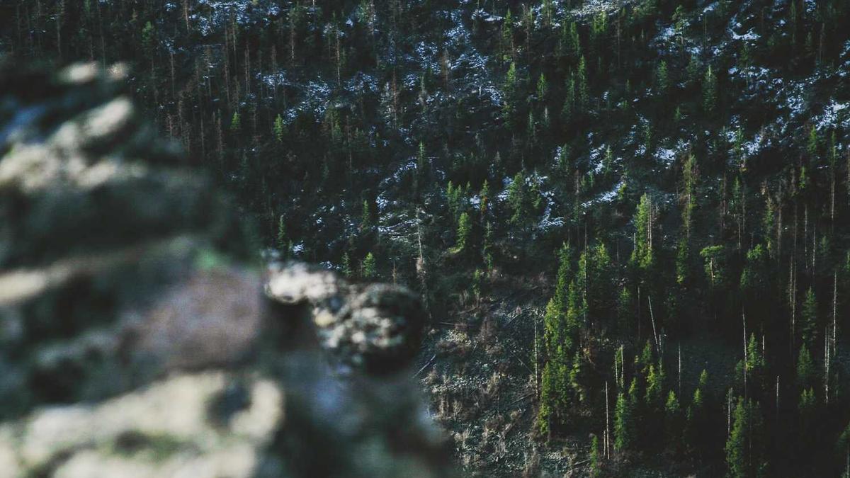 东方甄选自营品有前景么