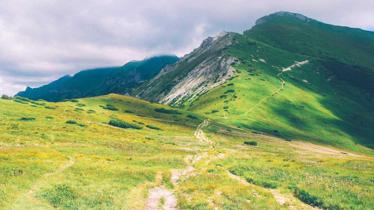 濮阳发生几级地震